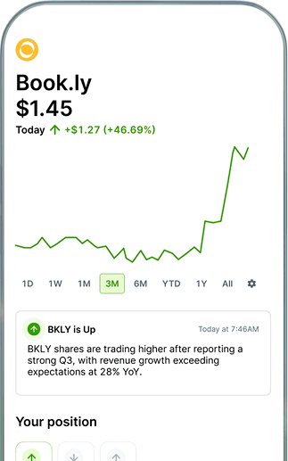 AI Investment Guidance on Phone
